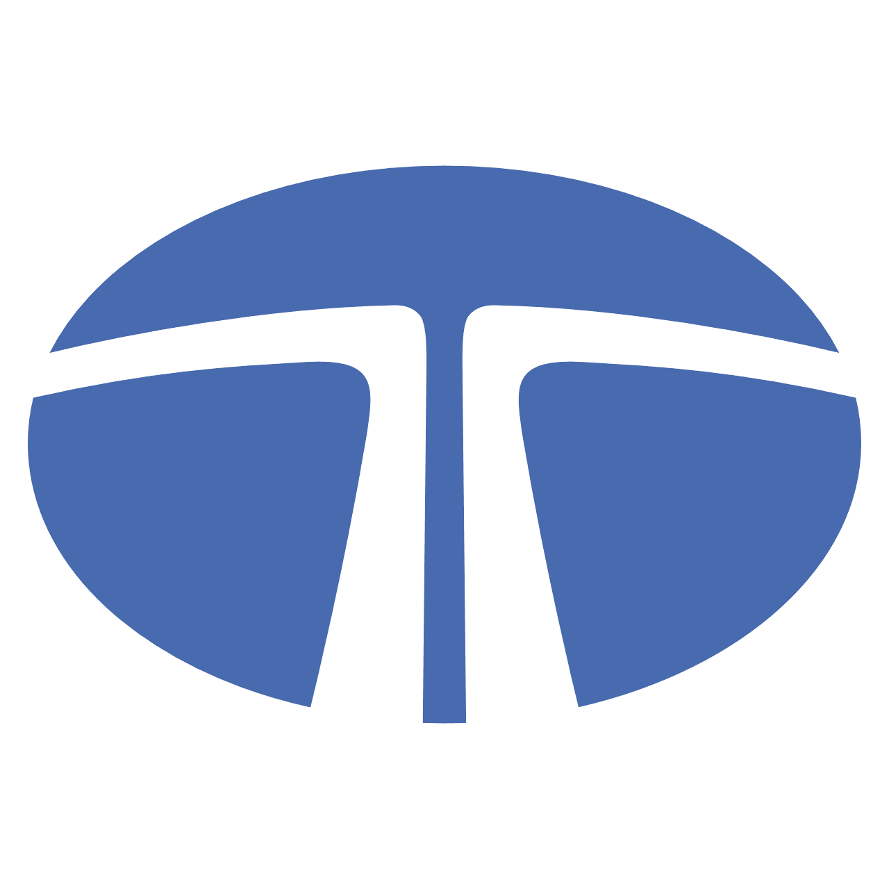 Tata Logo icon