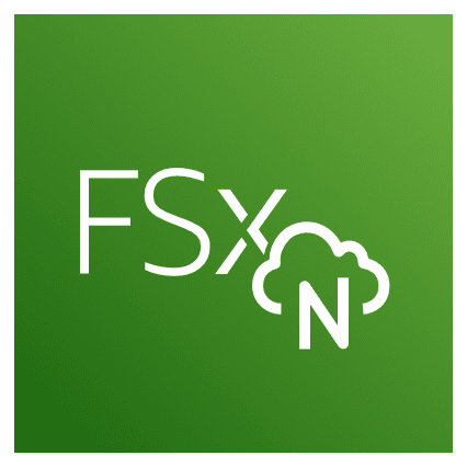 AWS FSx For NetApp ONTAP Logo Icon