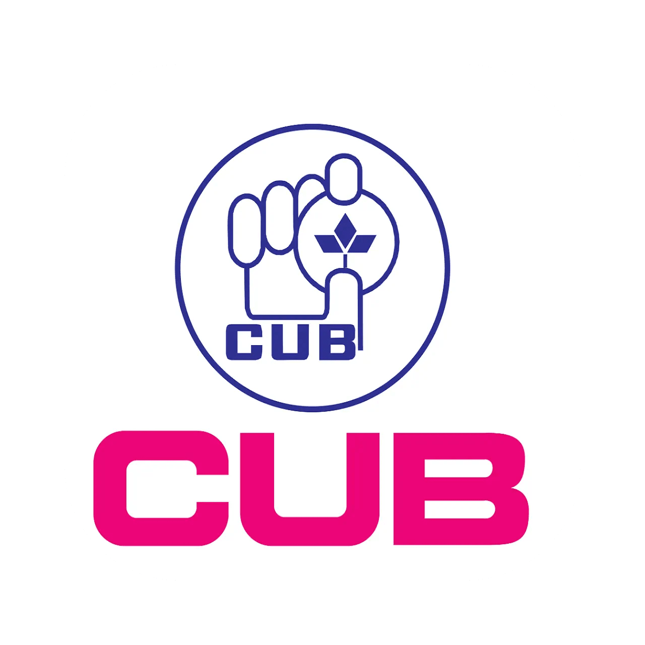 City Union Bank App icon
