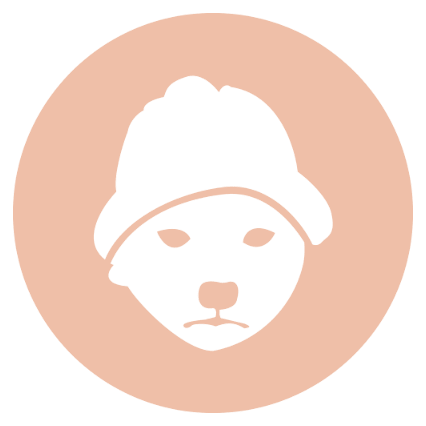 Dogwifhat Crypto Logo Icon