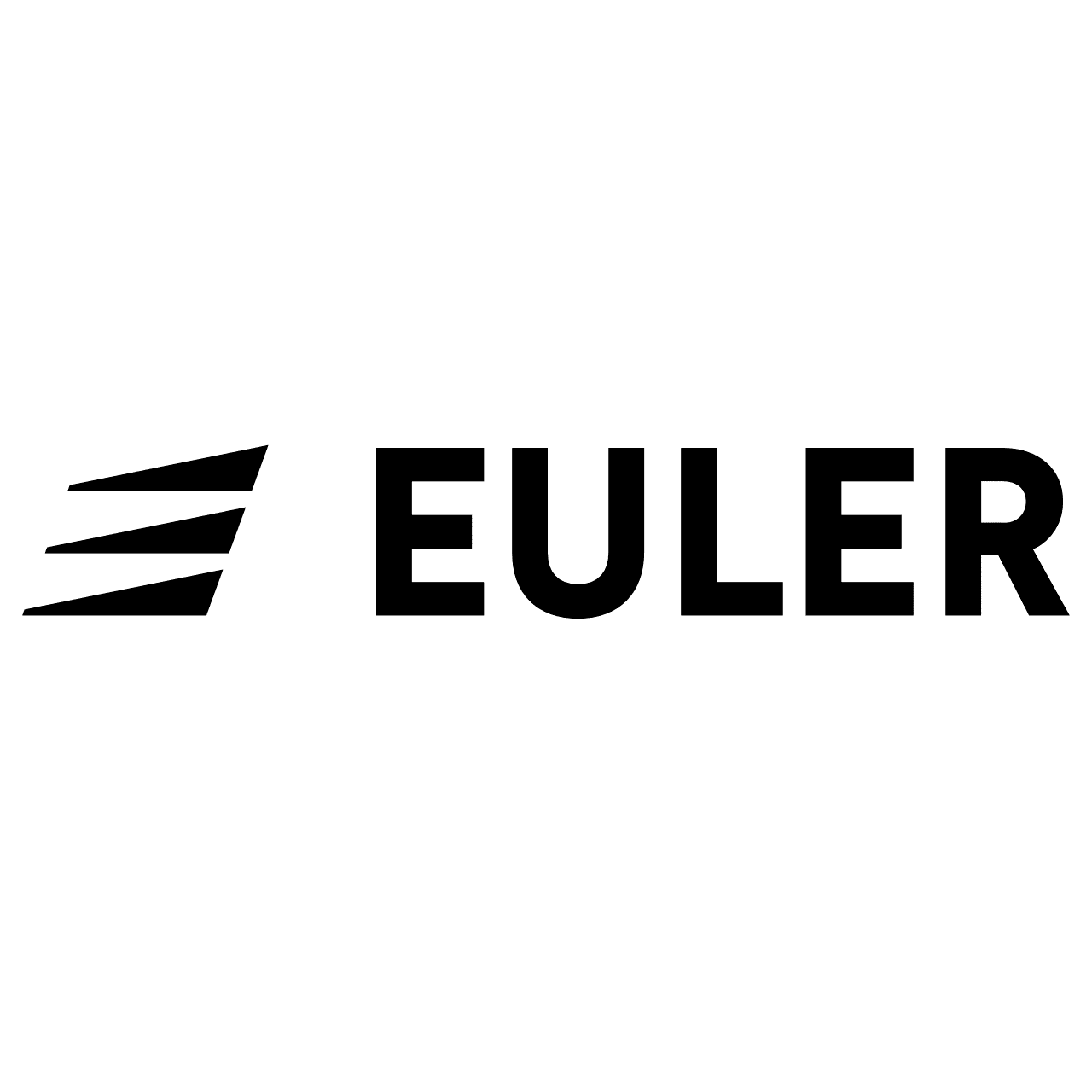 Euler Motors Logo