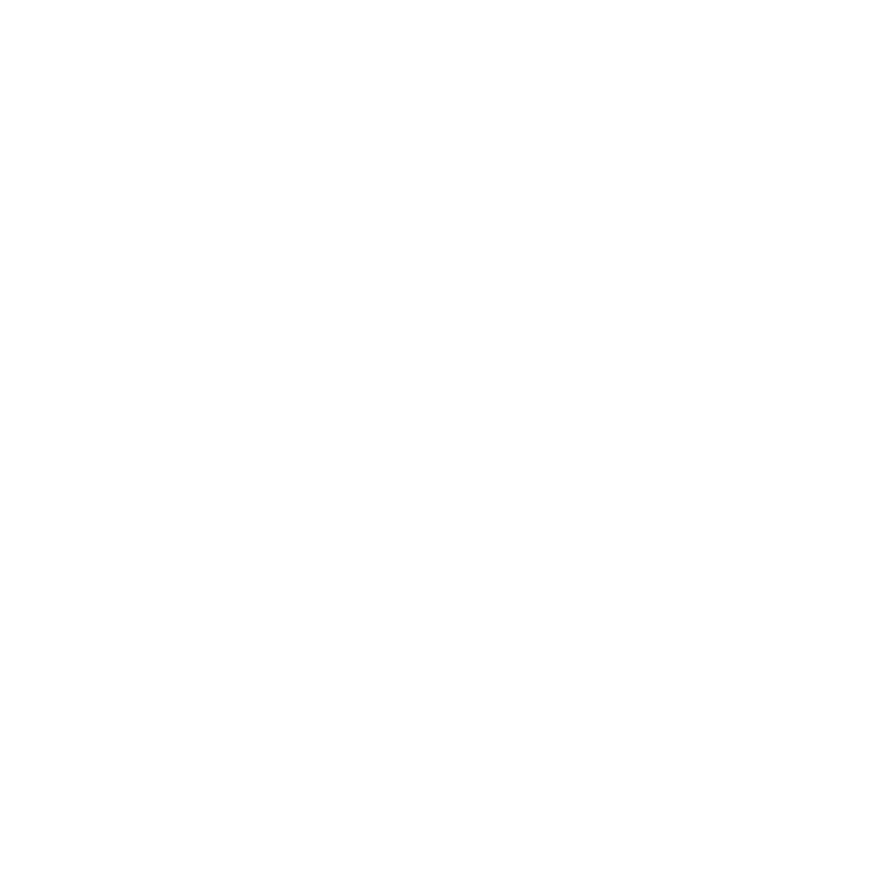 Facebook Logo Icon White