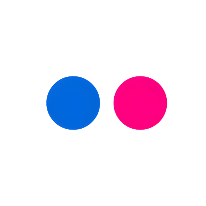 Flickr Logo Icon