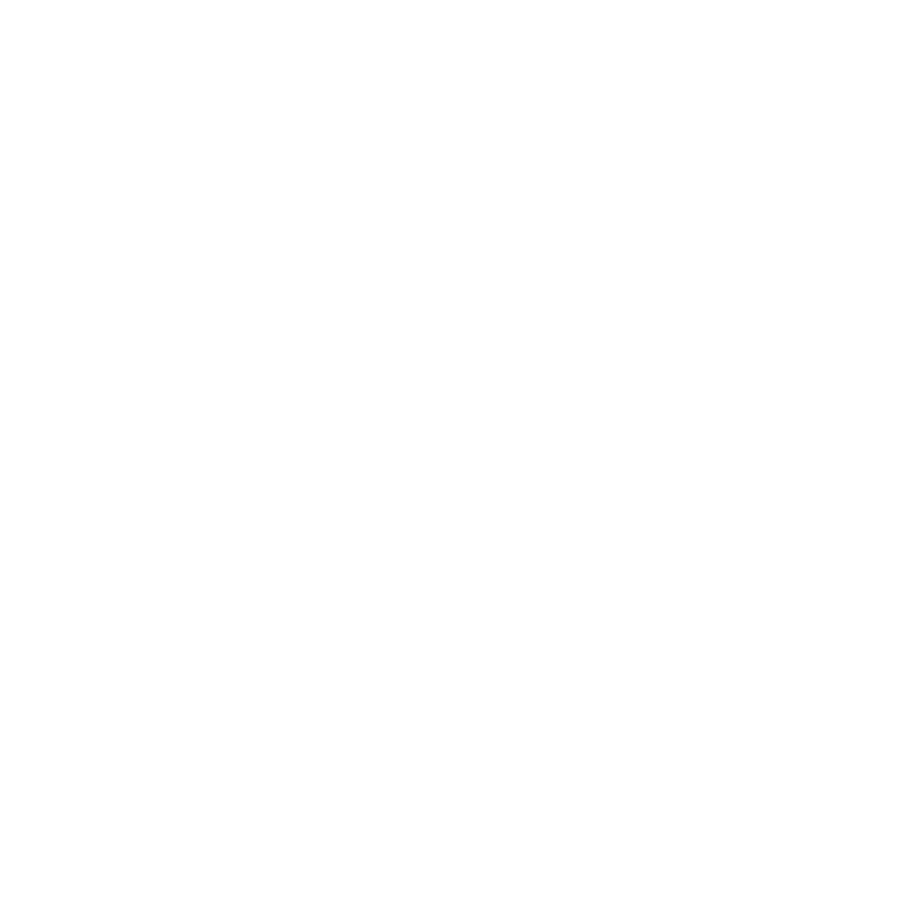Google Logo Icon White