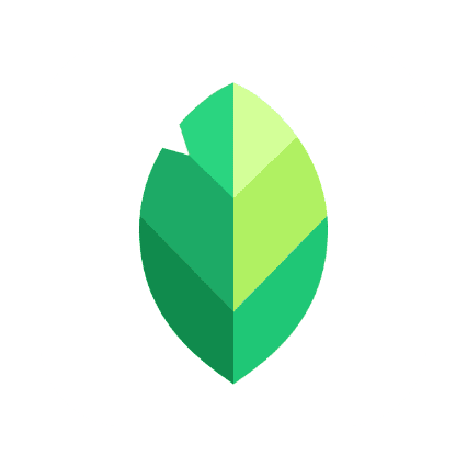 Google Snapseed App Icon