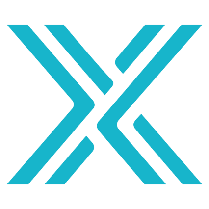 Immutable X Crypto Logo Icon