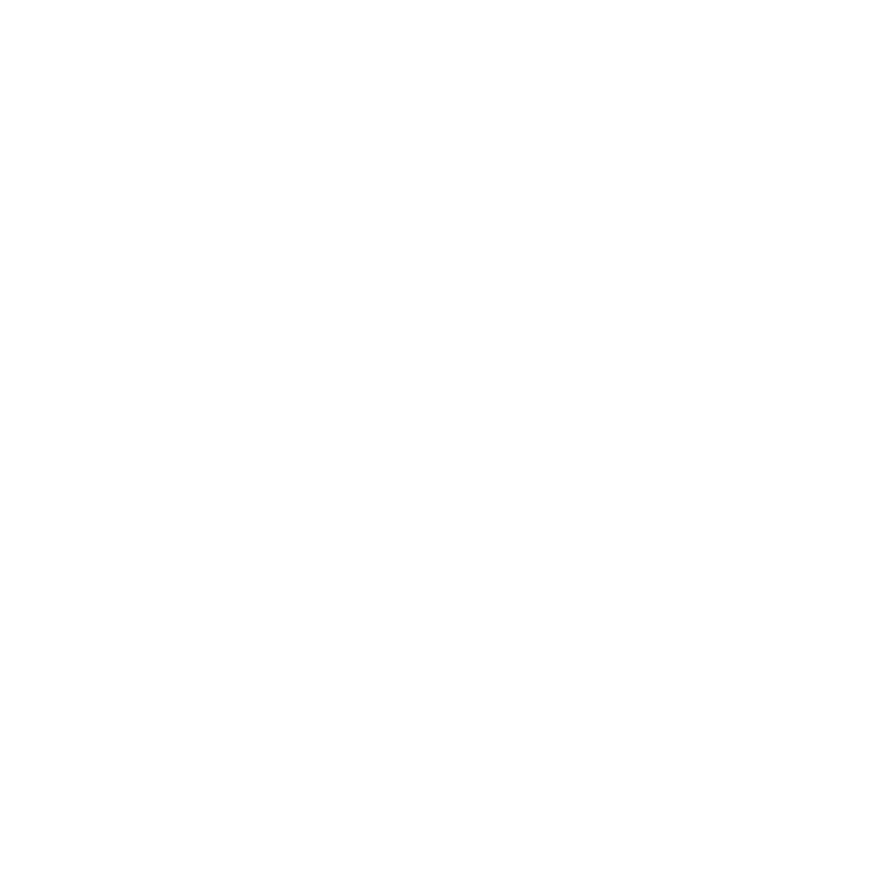 LinkedIn Logo Icon White