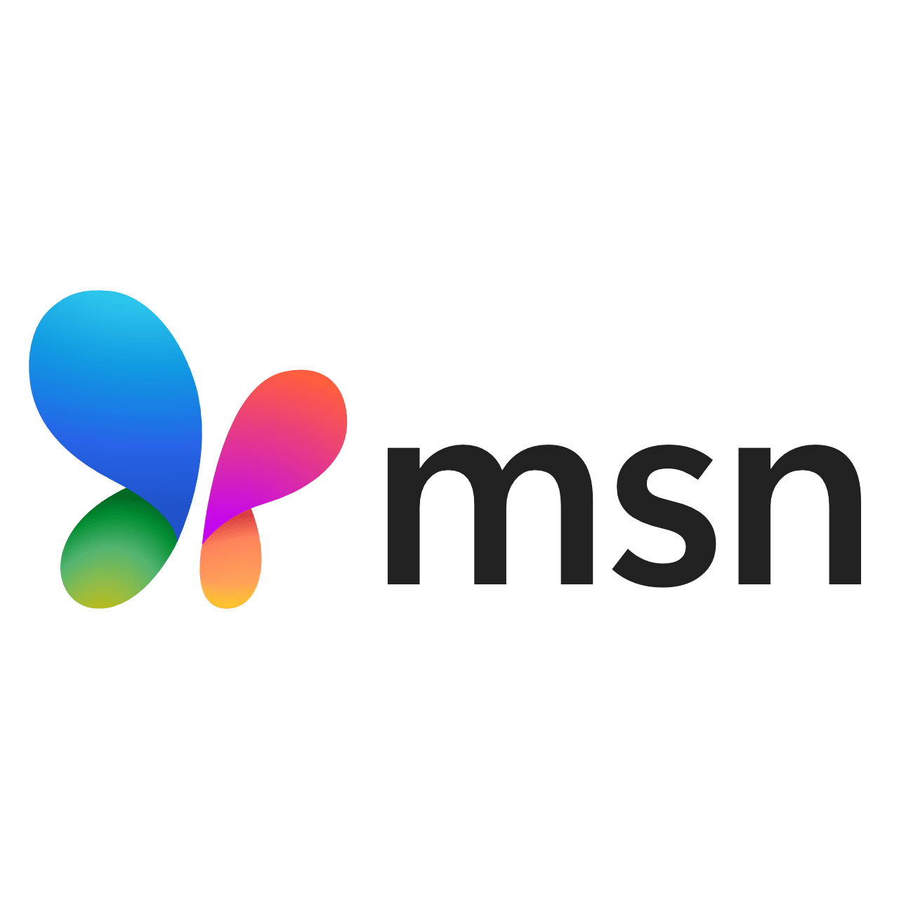 MSN Logo