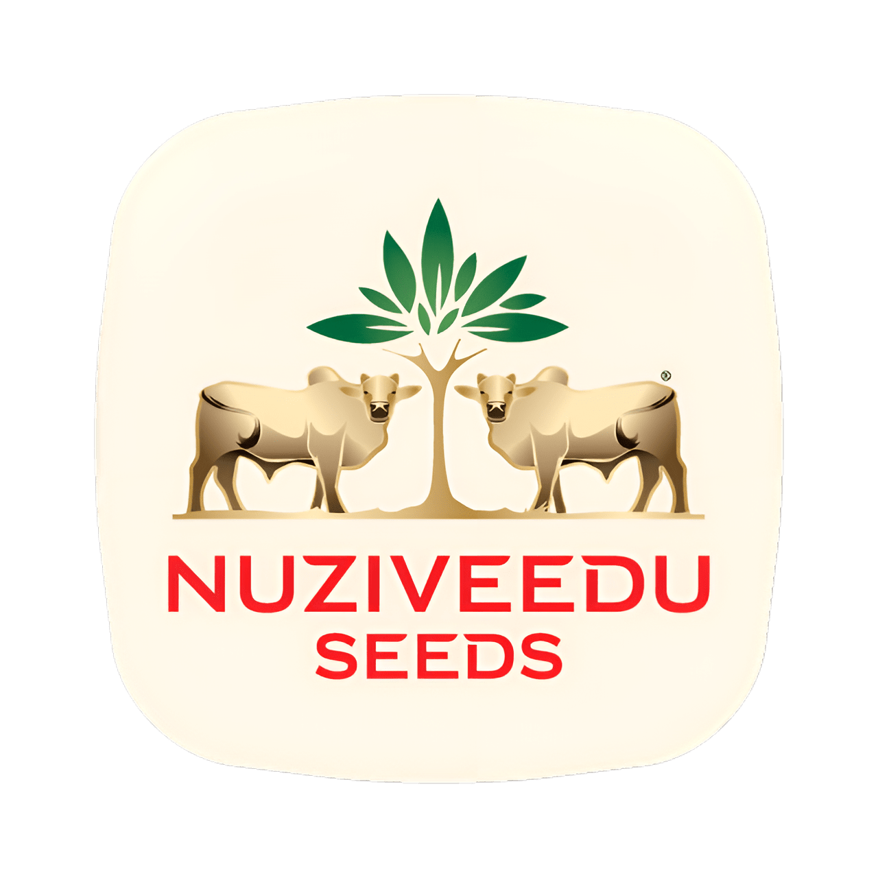 Nuziveedu Seeds Logo