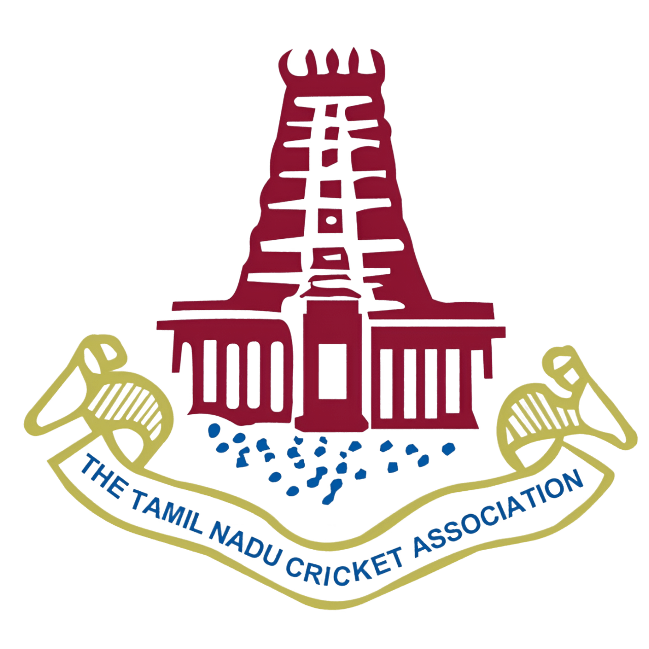 Tamil Nadu Cricket Association Logo