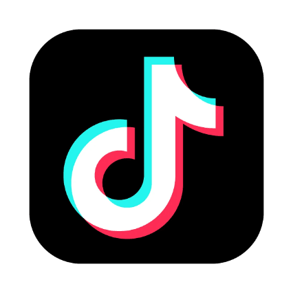 TikTok App icon