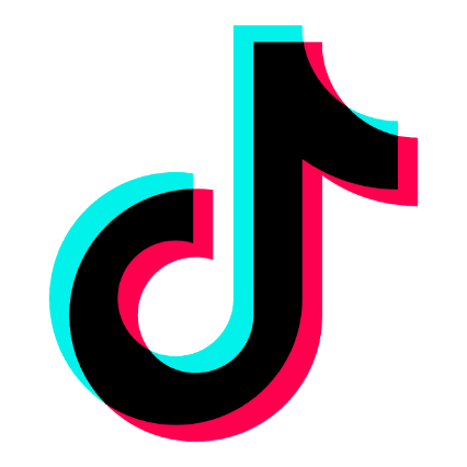 TikTok Logo Icon