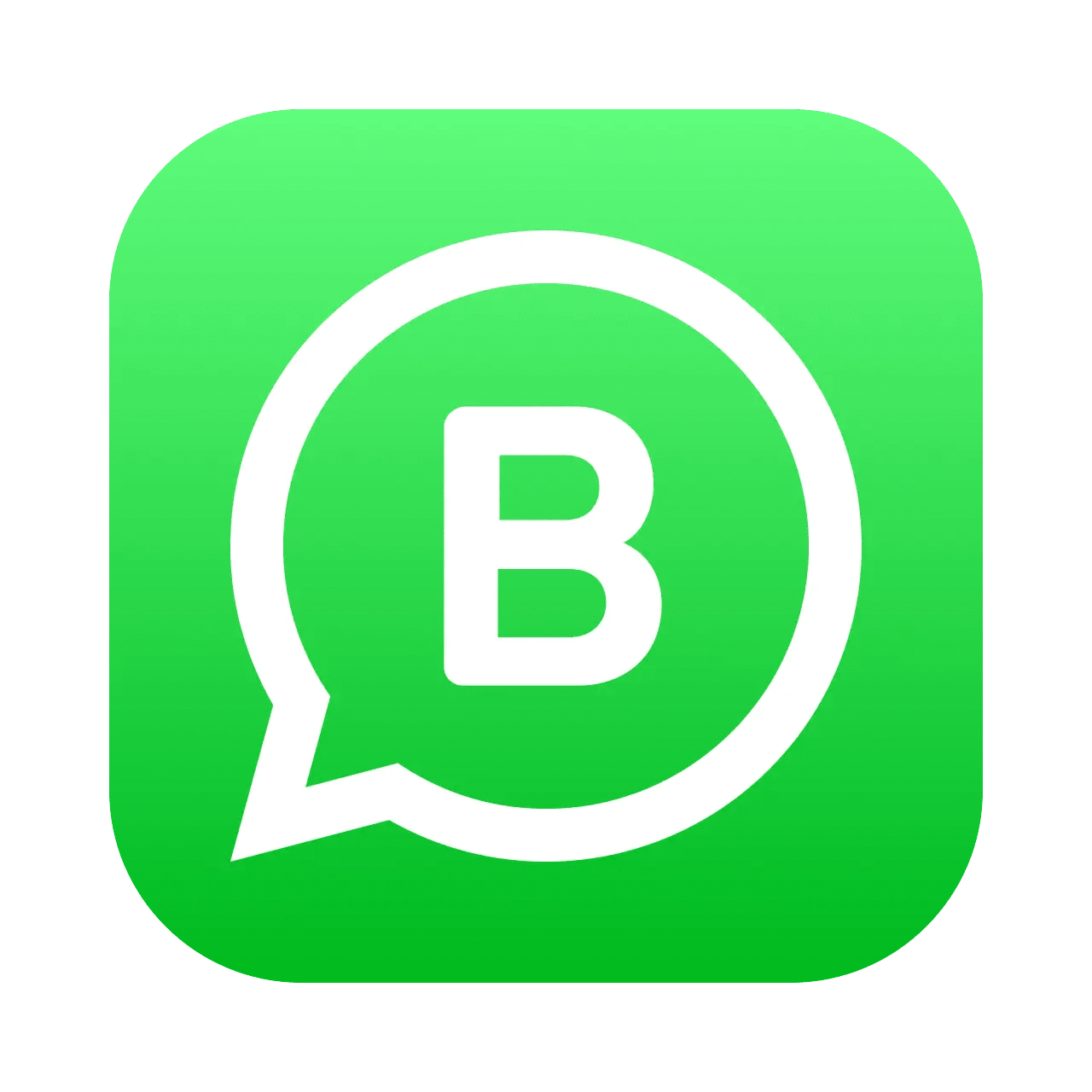 WhatsApp Business App icon