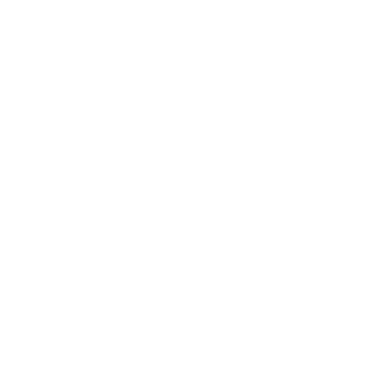 WhatsApp Logo White