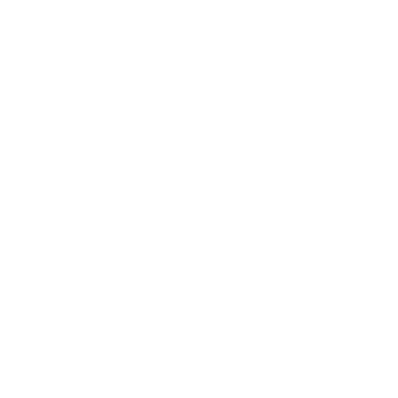 X Social Media White Logo
